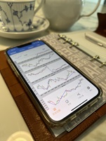 形态为王 图像辅助